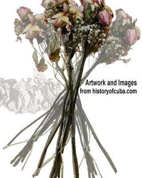 Paperback Artwork and Images from historyofcuba.com Book
