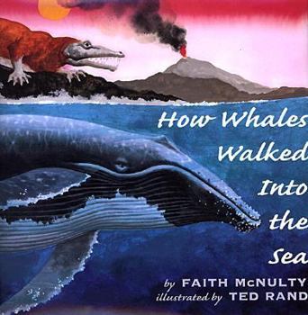 Hardcover How Whales Walked Into the Sea Book