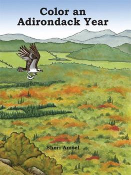 Paperback Color an Adirondack Year Book