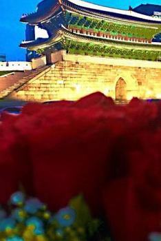 Paperback Hangul Practice Notebook: Korean Language Workbook for Alphabet and Writing Exercises Book