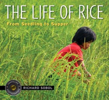 The Life of Rice: From Seedling to Supper - Book  of the Traveling Photographer
