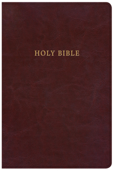 Imitation Leather KJV Large Print Personal Size Reference Bible, Classic Burgundy Leathertouch [Large Print] Book