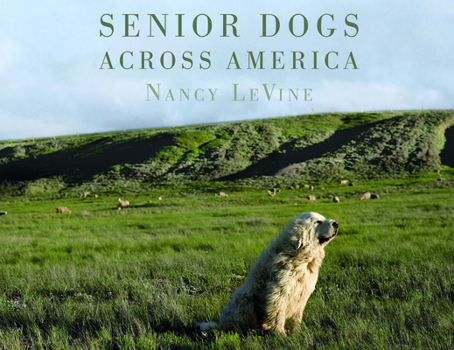 Hardcover Senior Dogs Across America: Portraits of Man's Best Old Friend Book