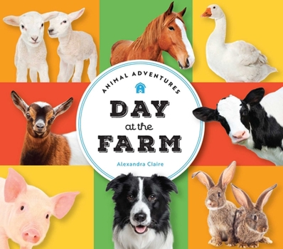 Board book Animal Adventures: Day at the Farm Book