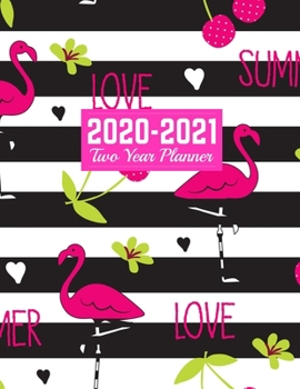 Paperback 2020-2021 Two Year Planner: Nifty 24-Months Calendar, 2-Year Appointment Business Planners, Agenda Schedule Organizer Logbook and Journal - Art Co Book