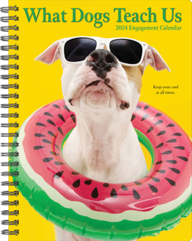 Calendar What Dogs Teach Us 2024 6.5 X 8.5 Engagement Calendar Book