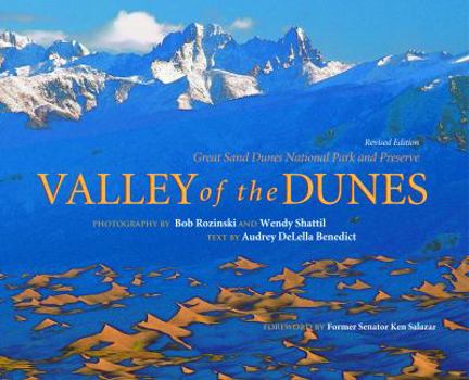 Paperback Valley of the Dunes Book