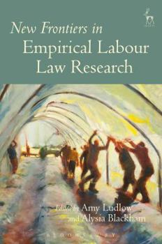Paperback New Frontiers in Empirical Labour Law Research Book