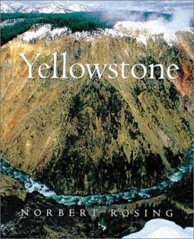 Paperback Yellowstone Book