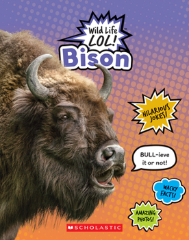 Paperback Bison (Wild Life Lol!) Book
