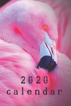 2020 Flamingo Calendar Planner Organizer: 6x9, 100 pages: Password Tracker, notes, daily, monthly, to-do list, weekly tropical bird theme planner