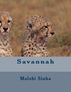 Paperback Savannah Book