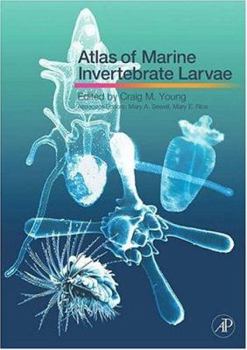 Paperback Atlas of Marine Invertebrate Larvae Book