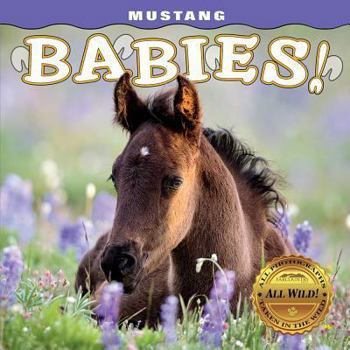 Board book Mustang Babies! Book