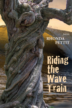 Paperback Riding the Wave Train Book