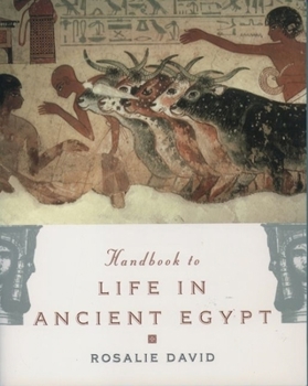 Paperback Handbook to Life in Ancient Egypt Book