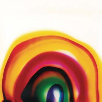 Vinyl Bird On The Wing Book