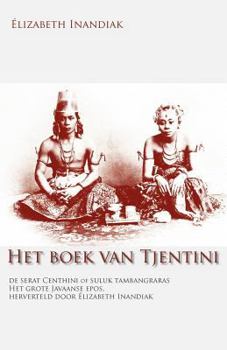 Paperback Het boek van Tjentini [Dutch] Book