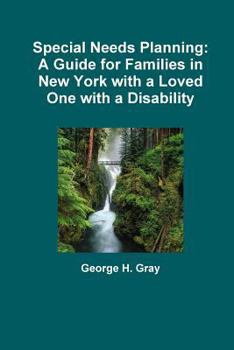 Paperback Special Needs Planning: A Guide for Families in New York with a Loved One with a Disability Book
