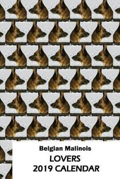 Paperback Belgian Malinois Lovers 2019 Calendar Book