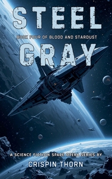 Paperback Steel Gray Book