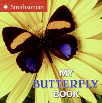 Board book My Butterfly Book