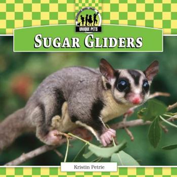 Sugar Gliders - Book  of the Unique Pets