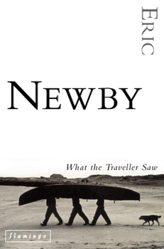 Paperback What the Traveller Saw Book