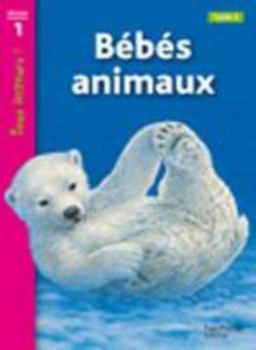 Paperback Bébés animaux Niveau 1 - Tous lecteurs ! - Ed.2010 [French] Book