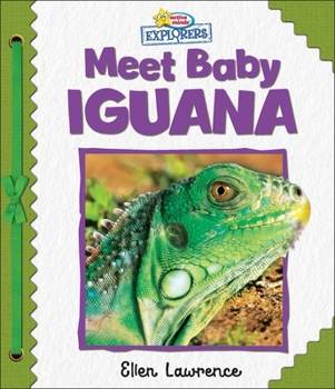 Board book Active Minds Explorers: Meet Baby Iguana Book