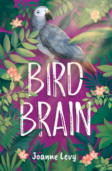 Paperback Bird Brain Book