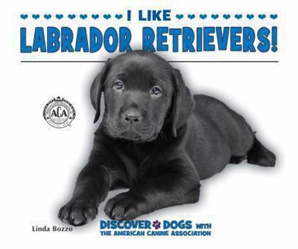 I Like Labrador Retrievers! - Book  of the Discover Dogs with the American Canine Association