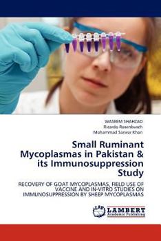 Small Ruminant Mycoplasmas in Pakistan & its Immunosuppression Study: RECOVERY OF GOAT MYCOPLASMAS, FIELD USE OF VACCINE AND IN-VITRO STUDIES ON IMMUNOSUPPRESSION BY SHEEP MYCOPLASMAS