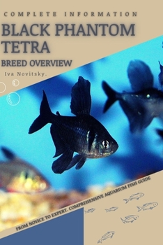 Black Phantom Tetra: From Novice to Expert. Comprehensive Aquarium Fish Guide