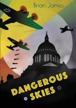 Paperback Dangerous Skies Book