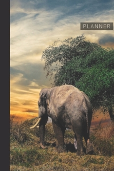 Planner: Elephant 1 Year Daily Planner (12 Months) | 2020 - 2021 | 365 Pages for Planning | January 20 - December 20 | Appointment Calendar Schedule | Plan Each Day Set Goals & Get Stuff Done
