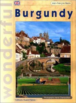 Paperback Wonderful Burgundy Book