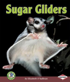 Library Binding Sugar Gliders Book