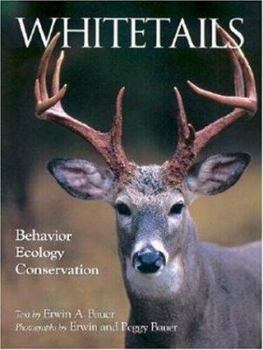 Paperback Whitetails Book