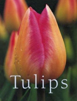 Hardcover Tulips Book