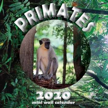 Paperback Primates 2020 Mini Wall Calendar Book