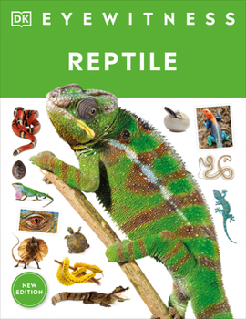 Paperback Eyewitness Reptile Book