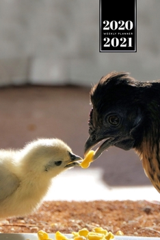 Chicken Hen Chick Farming Farmer Week Planner Weekly Organizer Calendar 2020 / 2021 - Sharing Food: Cute Wildlife Animal Pet Bullet Journal Notebook Diary in 6” x 9” Inch Pocket Size