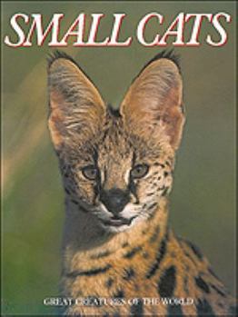 Hardcover Small Cats Book
