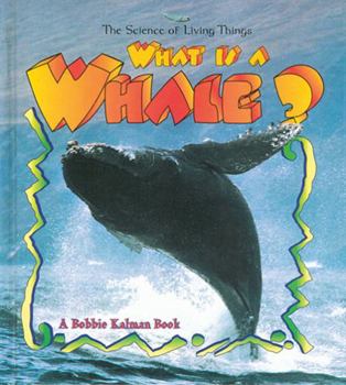 Paperback What Is a Whale? Book