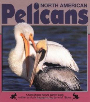Hardcover North American Pelicans Book