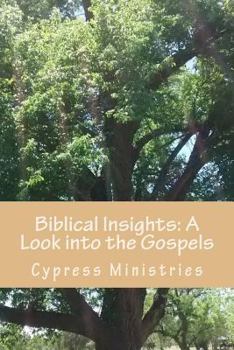 Biblical Insights: A Look Into the Gospels: Basic Study Notes for Better Understanding