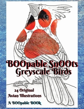Paperback B00pable Sn00ts Greyscale Birds: 24 Original Greyscale Avian Illustrations Book