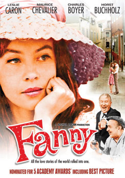 DVD Fanny Book