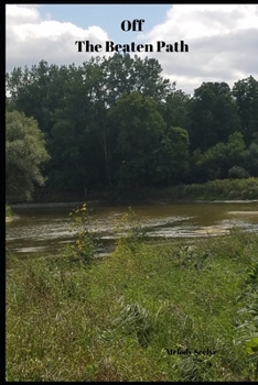 Paperback Off The Beaten Path: 4 year Blood Glucose Tracker Book